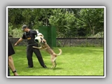 Img2005-07-03_0048
