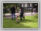 Img2005-07-03_0051
